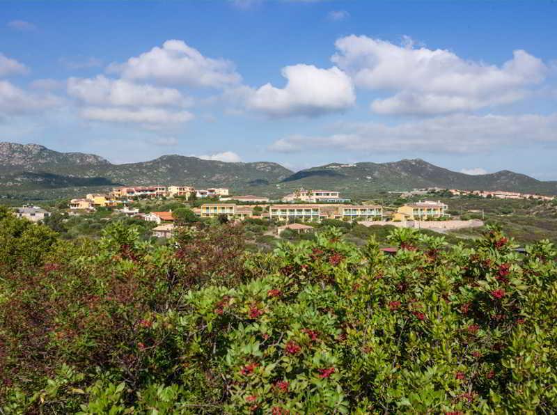 Club Hotel Baia Aranzos Golfo Aranci Exteriér fotografie